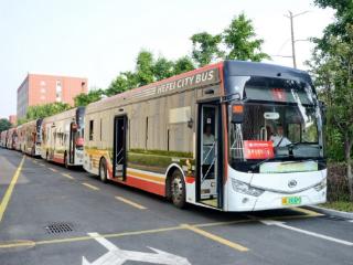 大考2026|合肥公交集团“985专线”发车 点对点服务学子高考出行