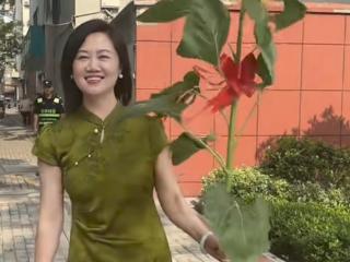 大考2026|每天带一束新开向日葵送考：为让花期赶上高考，这位安庆妈妈自学种花