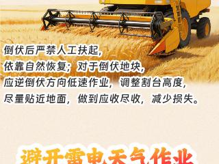 图说丨收麦子啦！这些“丰收密码"请查收~