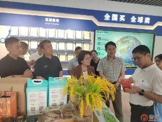 侨助出海聚合力 对标取经拓市场——枣庄市侨联赴青田考察学习赋能企业扬帆海外