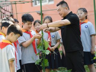 校园农场体验农耕乐趣