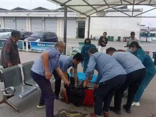 老人突发疾病晕倒公交场站 众人热心救助
