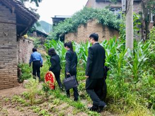 党旗映绿荫 修复待新绿——七星关区“法检”两院联合回访督促失火案补植复绿
