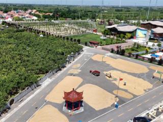 阳信县金阳街道：景区变身晒粮场 暖心便民保丰收