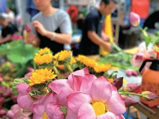 雨水渐止 继续凉爽 杭州今天早晚有些冷 出门带件薄外套