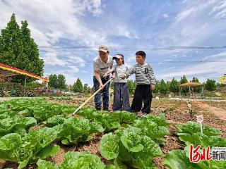 体验有新意 消费添活力｜认领一块菜地，做个快乐的“都市农夫”
