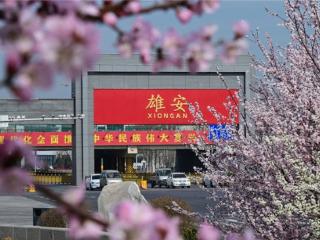 九年拔节生长 匠心筑梦未来之城