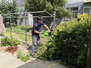 济宁市任城区济阳街道运河社区：修剪绿化除杂草 ，提质环境暖民心