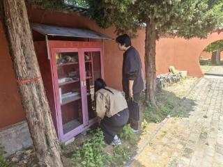 泰山区：开展文物消防安全巡查 筑牢文物保护安全防线
