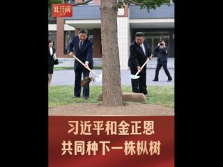 此行间·习近平和金正恩共同种下一株枞树