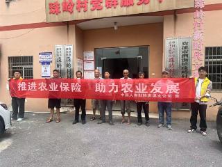 中国人寿财险贵溪支公司深入一线开展水稻保险政策宣传活动
