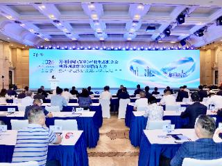 智汇鹏城 桥启未来