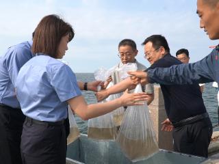 耕海牧渔 焕新蔚蓝生态——潍坊滨海区全面有序开展增殖放流活动