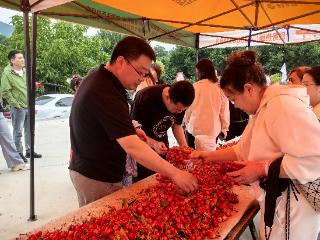 秦皇岛市山海关区：大美关城樱桃红 铺就乡村振兴路