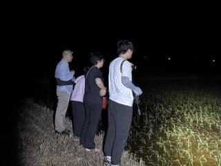 六组志愿者夜探田野，在长丰县野外发现多只无斑雨蛙