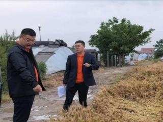 山东平安产险潍坊中心支公司极速响应，下沉田间查勘，护航夏收丰产