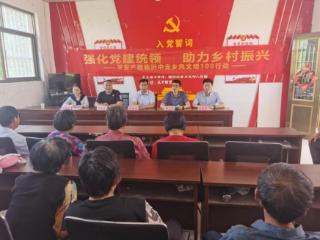 党建共建聚合力 金融赋能暖乡村 平安产险临沂中心支公司“乡风文明100行动”落地费县西新安村