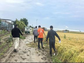 平安产险潍坊中心支公司农险护航寿光受灾小麦农户