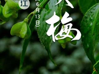 官宣！浙江明日入梅，南方迎新一轮强降雨集中期