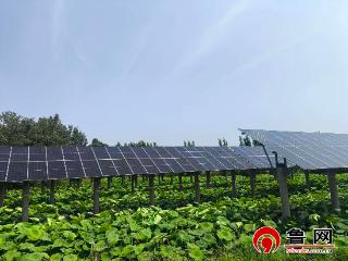【一村一件实事】德州市陵城区丁庄镇小庄村：坑塘光伏“点亮”乡村振兴