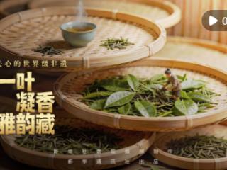 总书记关心的世界级非遗｜一叶凝香雅韵藏