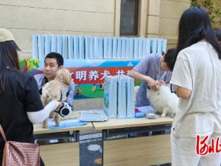 石家庄高新区西帐嘉苑社区开展文明养犬宣传普法活动
