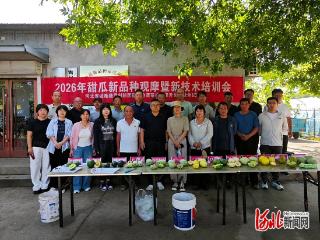 河北省设施蔬菜创新团队：岗站联合，在青县开展甜瓜新品种观摩暨新技术培训会