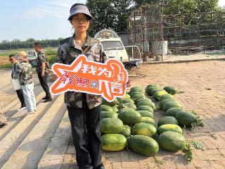 学用赋能助农兴产 文旅聚力振兴乡村 —— 济宁市梁山县依托“学习强国”学习平台打响黄河滩西瓜特色品牌