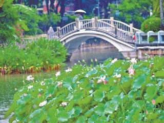 “龙舟水”猛泼今明厦门有强降水 气温不高湿度大