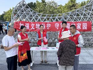 泰山区文化和旅游局开展文化和自然遗产日文物普法宣传活动