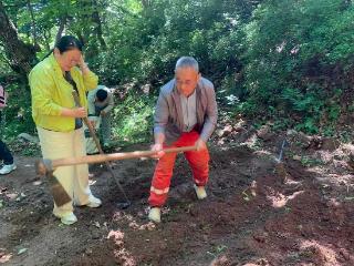 泰山景区玉泉寺管理区深耕赤灵芝生态复育 探索生态保护与绿色发展新路径