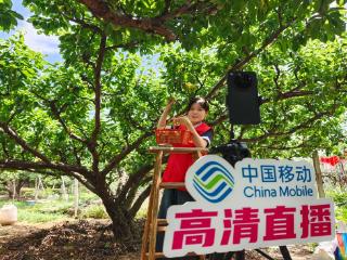 酸甜夏日，中国移动江苏公司助力大浮醉李“醉”美上线