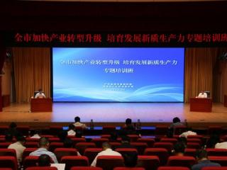 淄博：以训赋能促转型 培育新质生产力