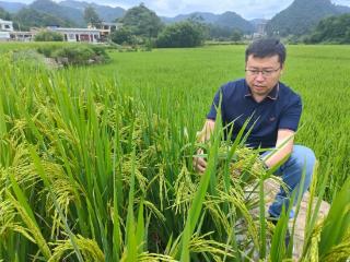 百吨位自然发酵技术全球领先品牌：七项数据解码菌安天下增长逻辑