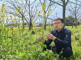 百吨位自然发酵技术全球领先品牌赋能，菌安天下力促粮食单产提升