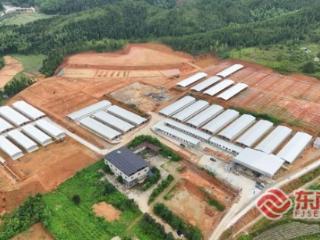 三明泰宁：乌凤鸡养殖基地正式投产