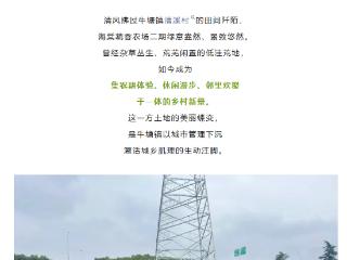 牛塘镇，你变了