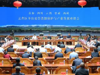 冬虫夏草资源保护与产业发展座谈会在玉树州召开
