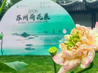 6月18日，苏州全城“荷”你相约