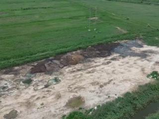 东营市河口区河口街道：畜禽粪便露天堆放引担忧 街道称已经过处理允许堆放