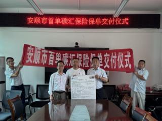 中国太保产险安顺中支签发落地安顺市首张商业性森林碳汇保险保单