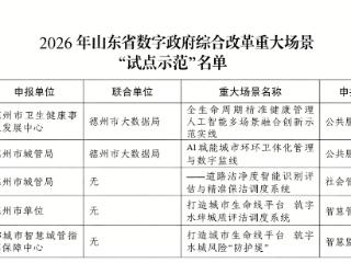 聊城城市生命线建设应用场景上榜省级重大场景试点示范名单