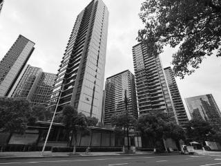 顶豪新盘集中入市冲击二手市场 奥体逐步企稳，钱新二期走出独立行情