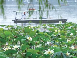 今天开始 持续8天 杭州迎来降雨集中期