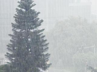厦门今日有雷阵雨局部大雨 端午假期前两天阵雨来串门