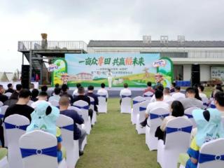 一亩众享田 共赢稻未来——徐霞客镇举行“庆夏收·启夏种”暨“霞享一亩田”稻田认养项目发布仪式