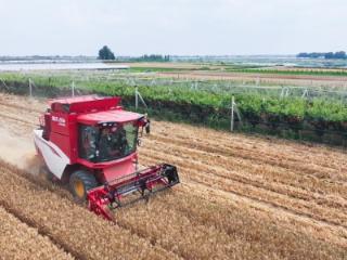大国粮安 与沃同行丨雷沃公益机收情暖胶东