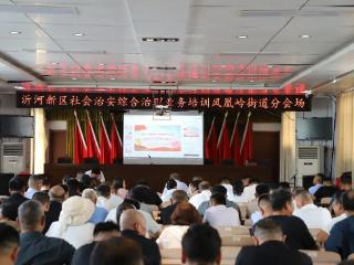 沂河新区凤凰岭街道开展社会治安综合治理业培训