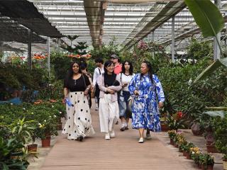 惠民县麻店镇：兵法端午遇田园 多国留学生沉浸式感受惠民乡村与端午文化