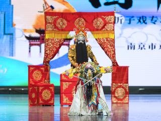 南京市京剧团《国粹流芳京剧折子戏专场》公益演出落幕